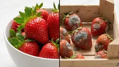 Tyto 3 potraviny před uložením nemyjte, vydrží doma déle čerstvé