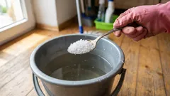 Podlahy zůstanou čisté celé týdny: stačí jedna lžíce do kbelíku s vodou a budou se lesknout jako zrcadlo