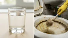 Nic nečistilo tak dobře jako tohle: žlutá toaleta se proměnila v sněhově bílou