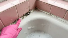 Jak snížit vlhkost v koupelně: jednoduché způsoby, jak zajistit příjemné vnitřní klima